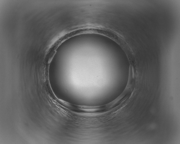 X0000077311310200610201143