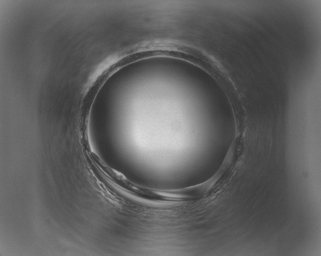 X0000077311312200610201143
