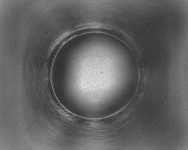 X0000077311318200610201143