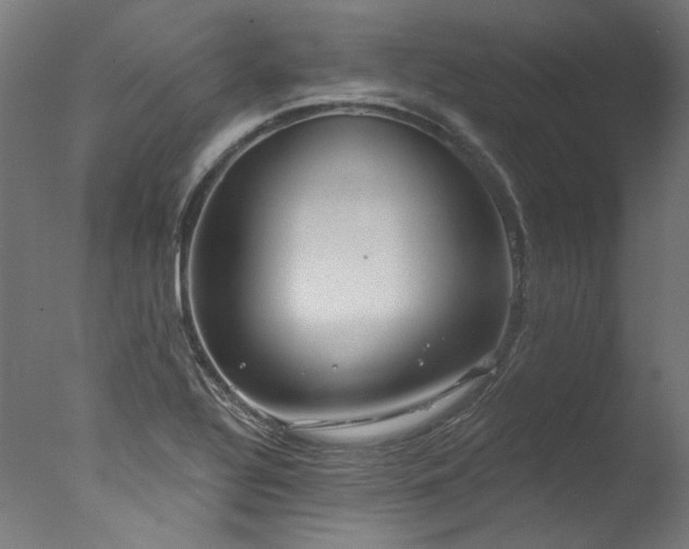 X0000077311320200610201143