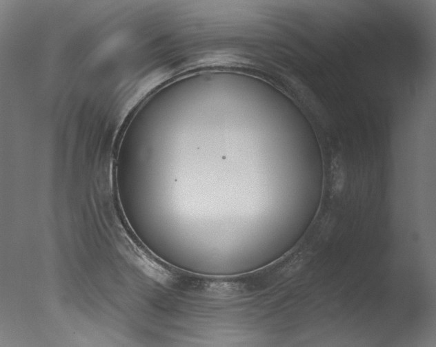 X0000077311322200610201143