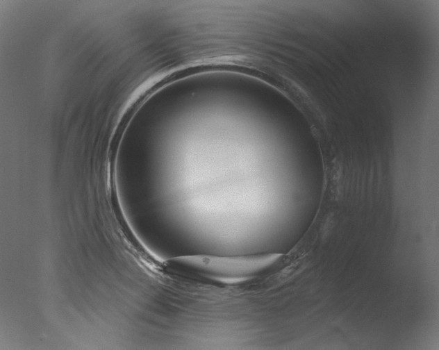 X0000077311324200610201143