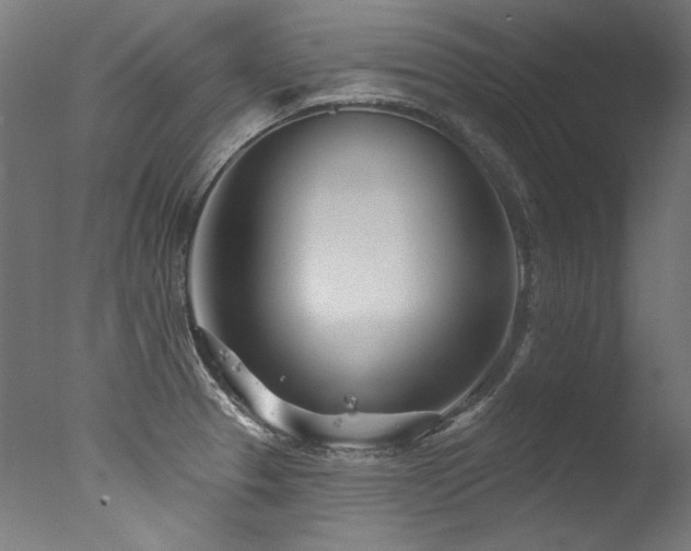 X0000077311329200610201143