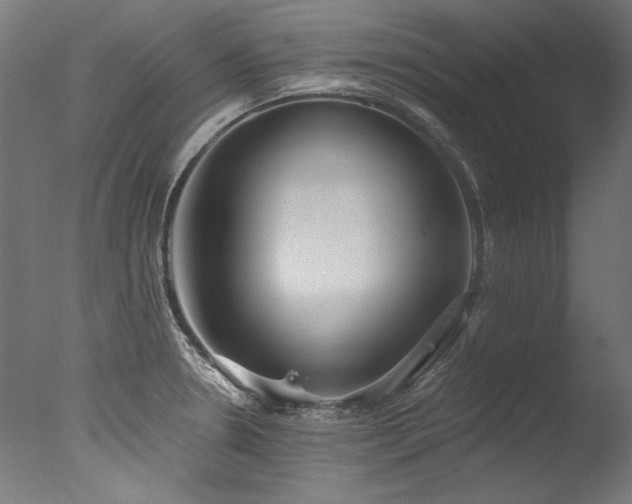 X0000077311330200610201143