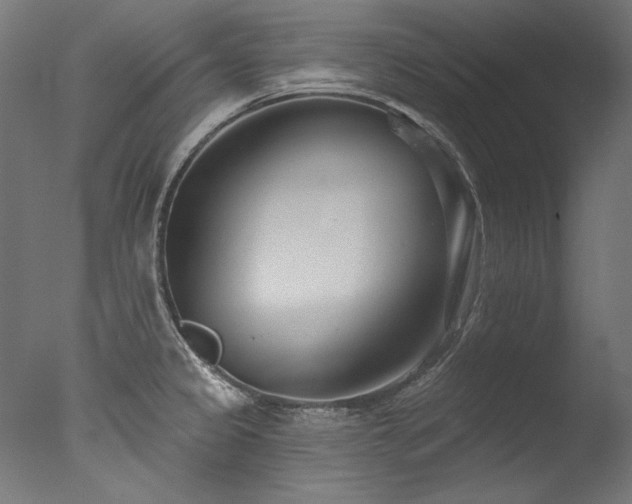 X0000077311333200610201143