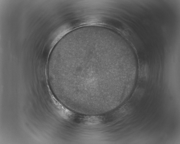X0000077311338200610201143