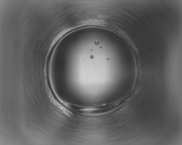 X0000077311339200610201143