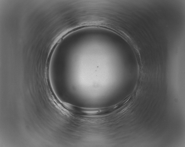 X0000077311340200610201143
