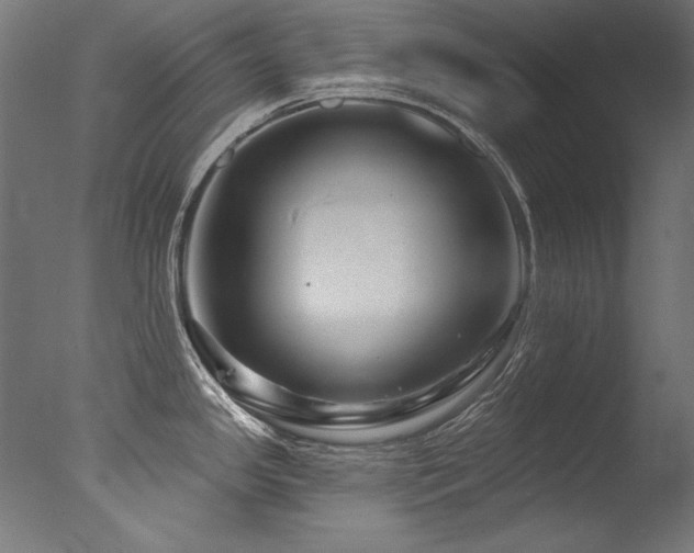 X0000077311341200610201143