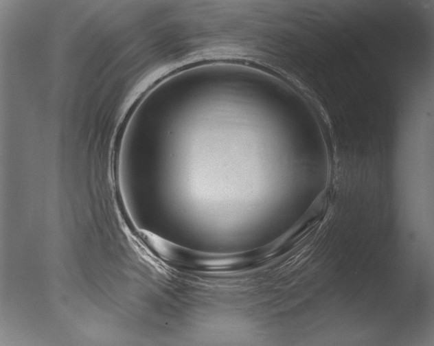 X0000077311342200610201143