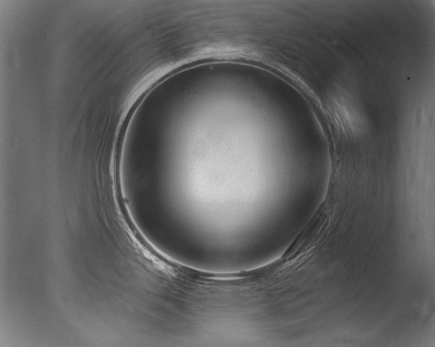 X0000077311343200610201143