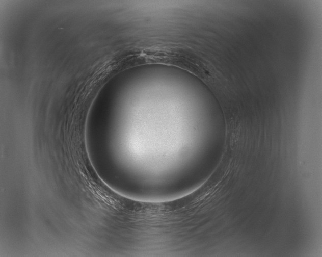 X0000077311345200610201142