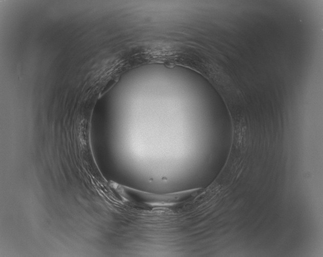 X0000077311346200610201142