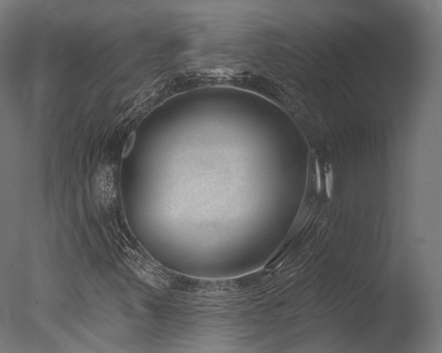 X0000077311347200610201142
