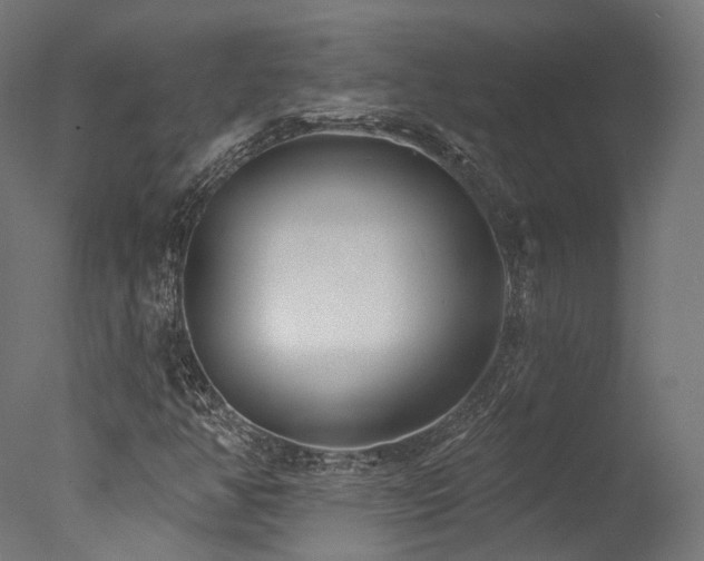 X0000077311350200610201142