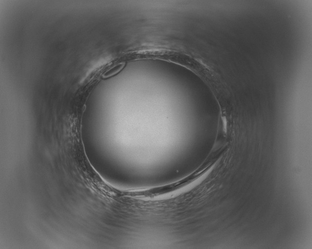 X0000077311351200610201142