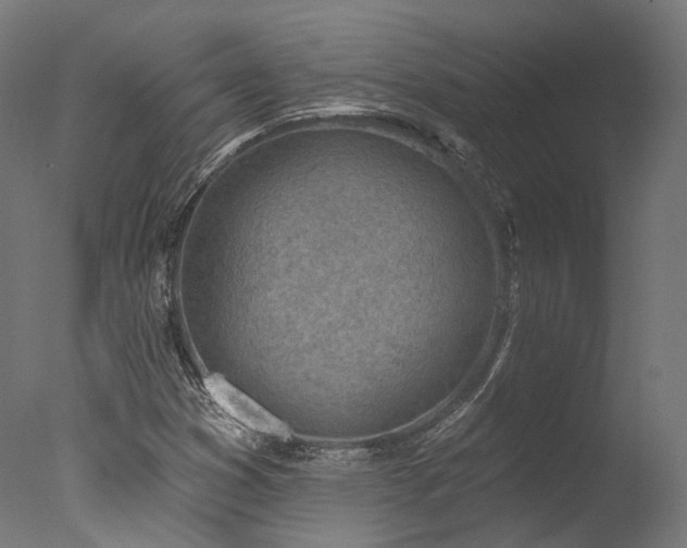 X0000077311353200610201142