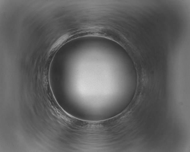 X0000077311354200610201142