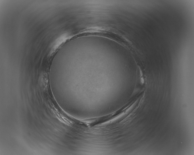 X0000077311355200610201142