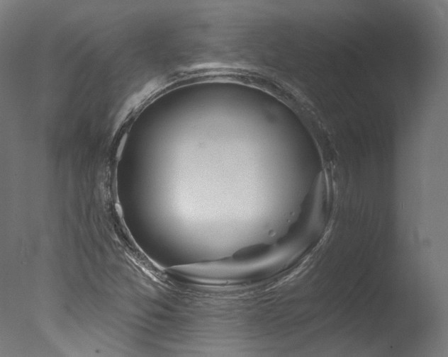 X0000077311357200610201142