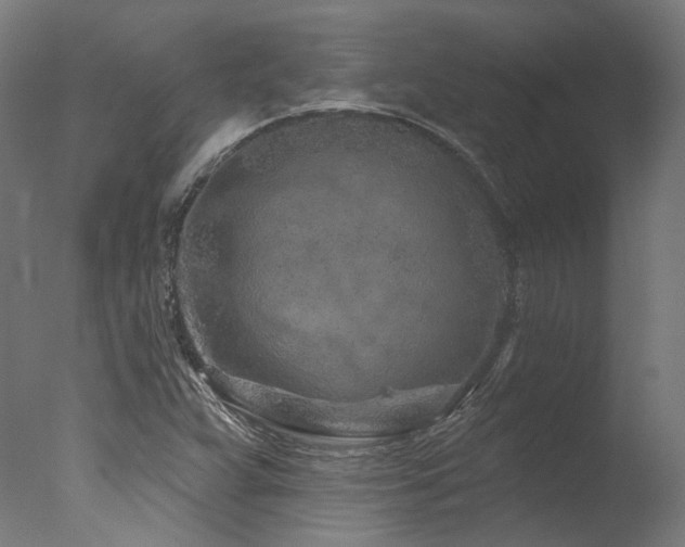 X0000077311359200610201142