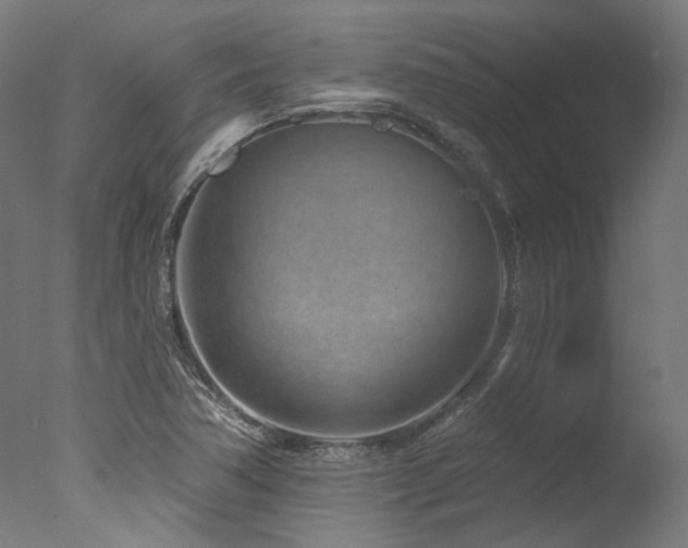 X0000077311362200610201142