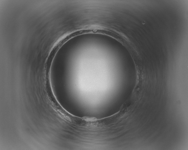 X0000077311364200610201142