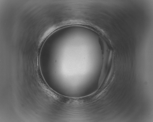 X0000077311365200610201142