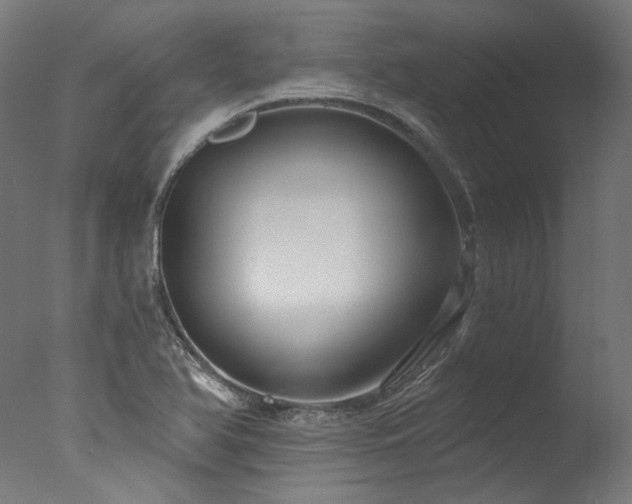 X0000077311366200610201142