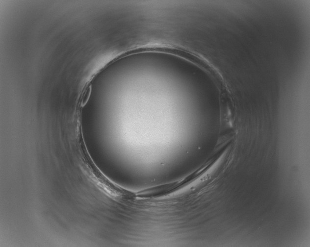 X0000077311367200610201142