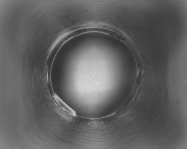 X0000077311368200610201142