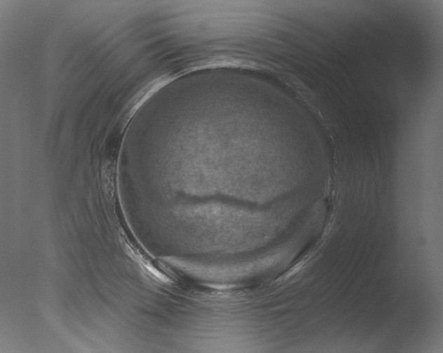 X0000077311369200610201142