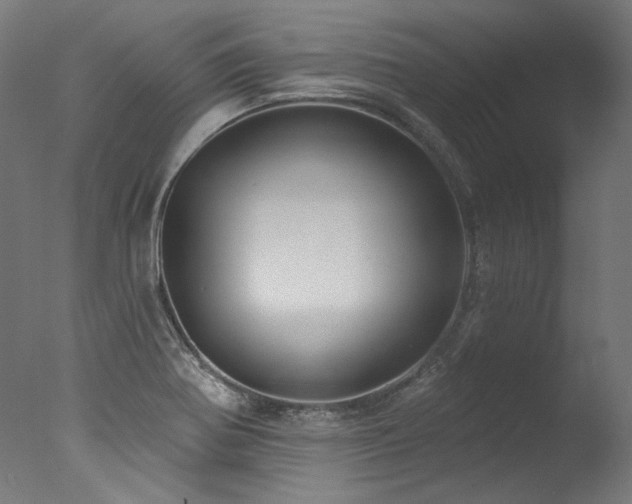 X0000077311370200610201142