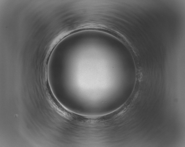 X0000077311371200610201142