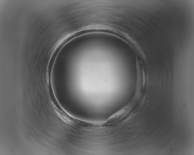 X0000077311372200610201142