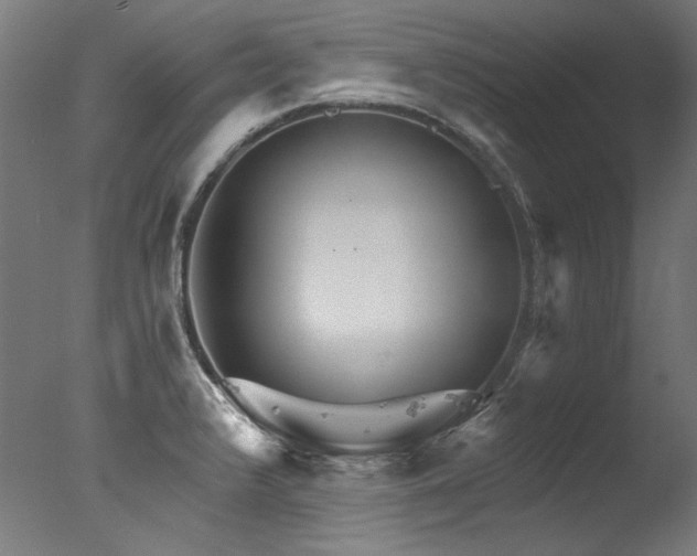 X0000077311376200610201142