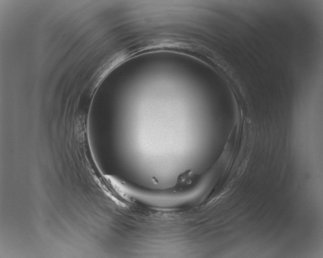 X0000077311377200610201142