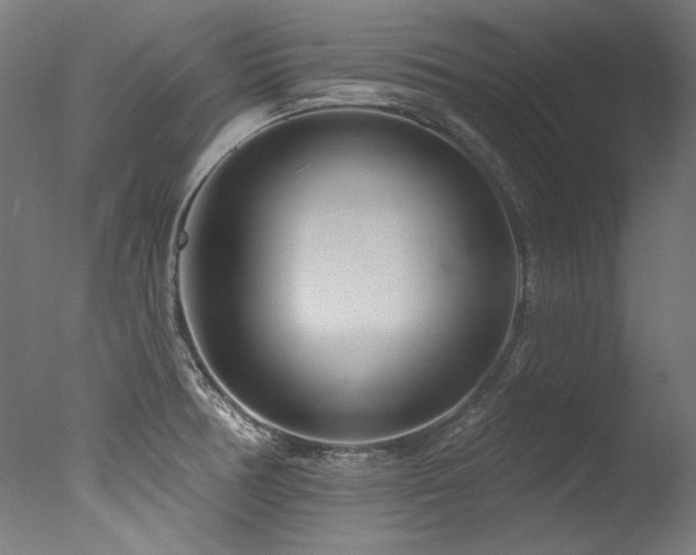 X0000077311378200610201142