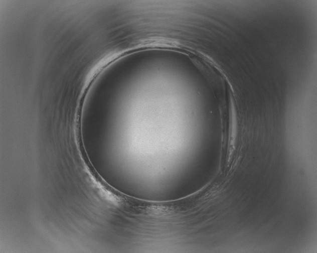 X0000077311379200610201142