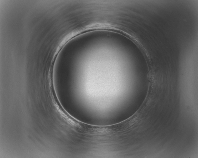 X0000077311382200610201142