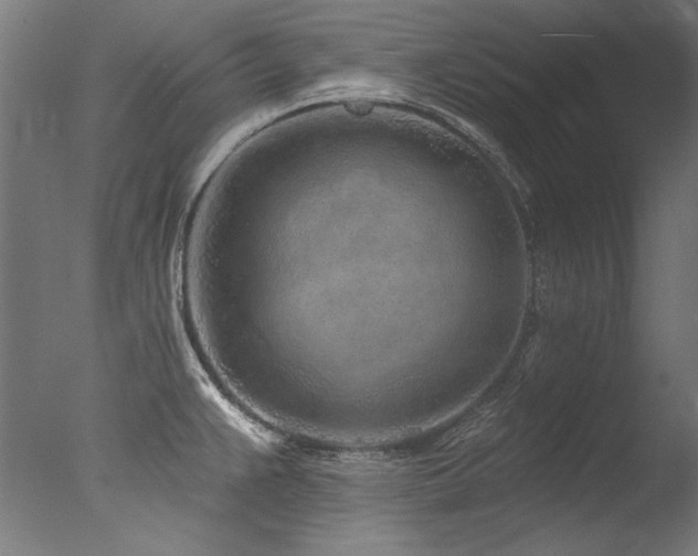 X0000077311383200610201142