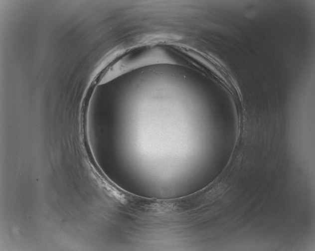 X0000077311384200610201142