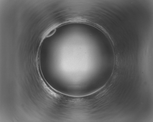 X0000077311387200610201142
