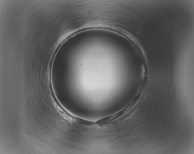 X0000077311388200610201142