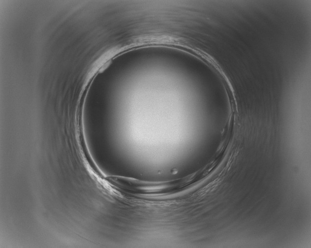 X0000077311389200610201142
