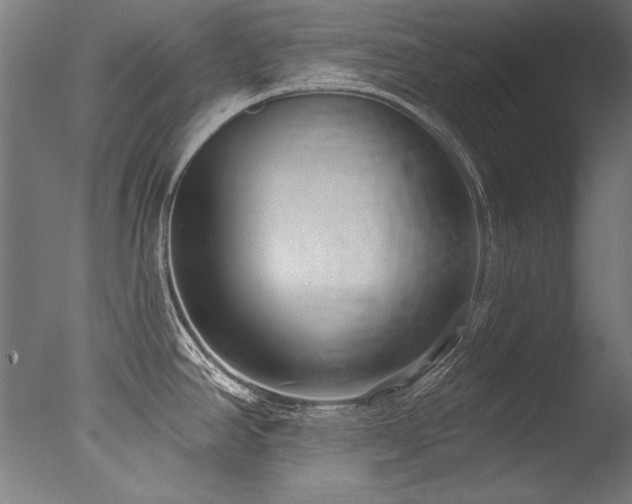 X0000077311390200610201142