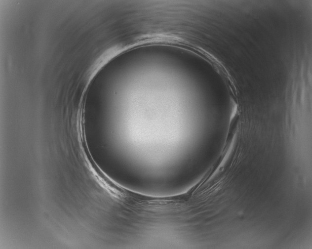 X0000077311391200610201142