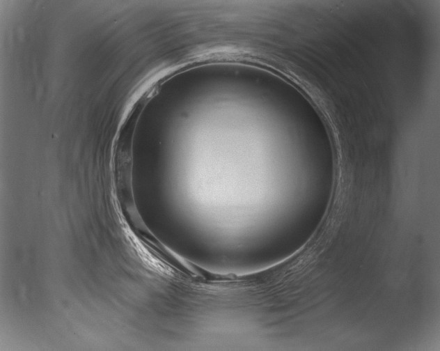X0000077311392200610201142