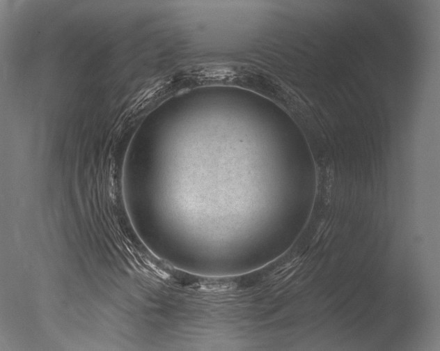 X0000077311394200610201141