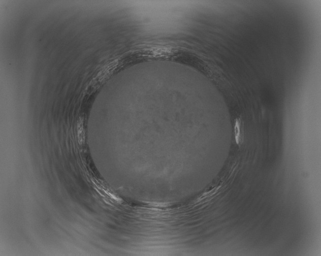 X0000077311395200610201141